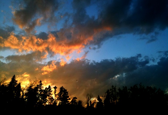 photo.jpg