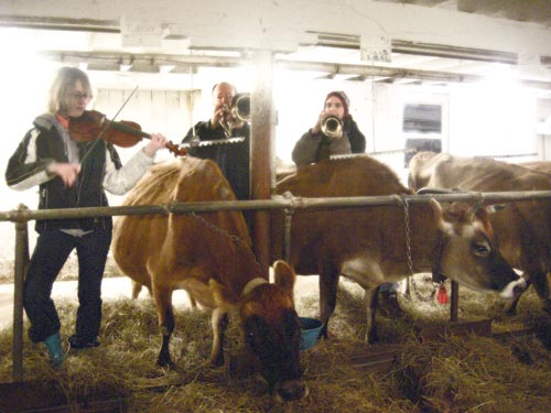image from milkthistlefarm.com