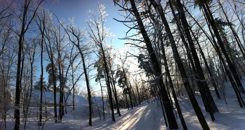 Snowfall in Taghkanic