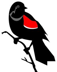 Redwing blackbird icon for FoH by Sam Pratt