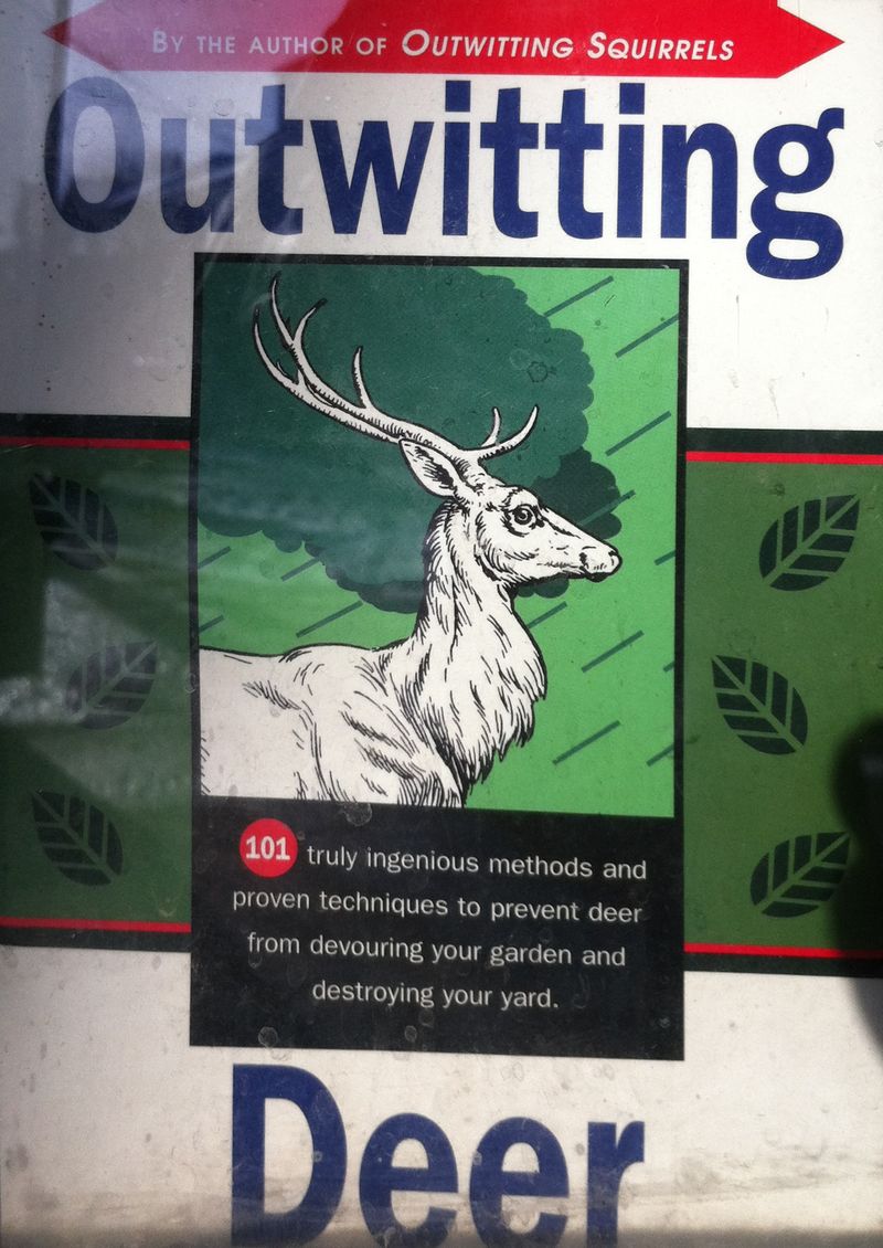 Outwittingdeer